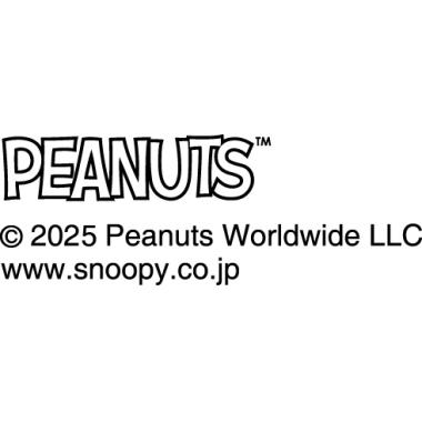 PEANUTS　マグ（山水）